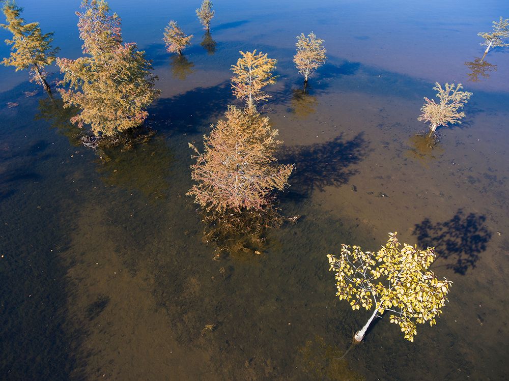 Fall Lake 2 art print by Will Malone for $57.95 CAD
