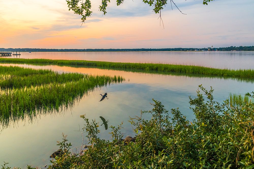 Morning Marsh art print by Will Malone for $57.95 CAD