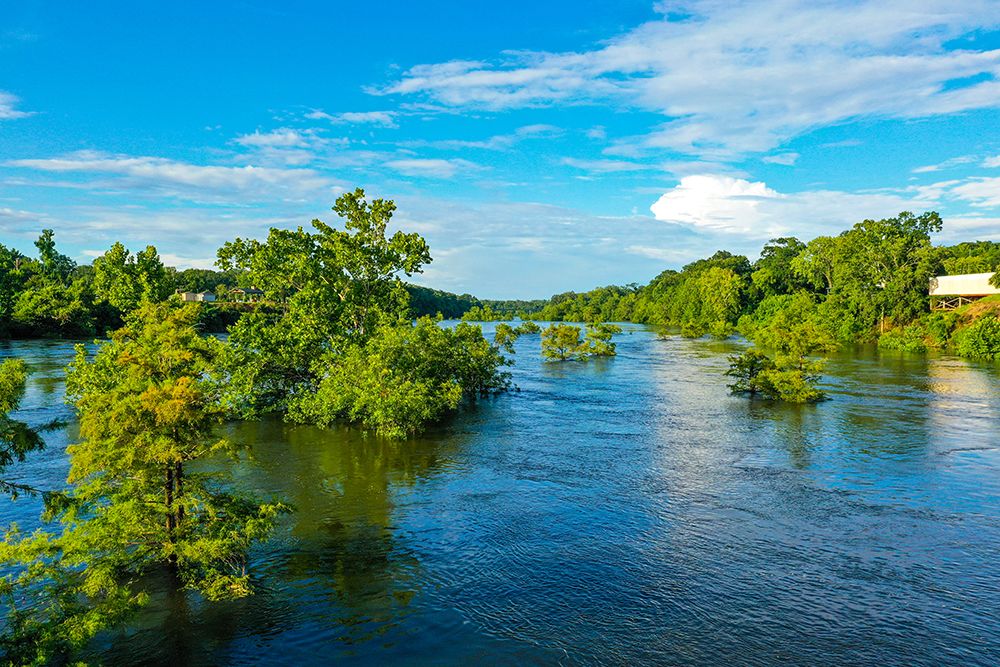 Blooming on the Coosa 3 art print by Will Malone for $57.95 CAD
