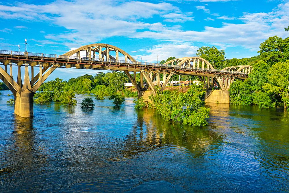 Blooming on the Coosa 4 art print by Will Malone for $57.95 CAD