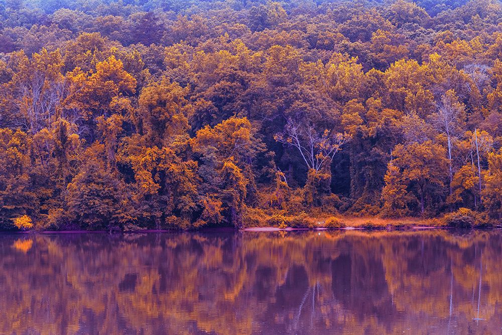 Across The River Infrared art print by Will Malone for $57.95 CAD