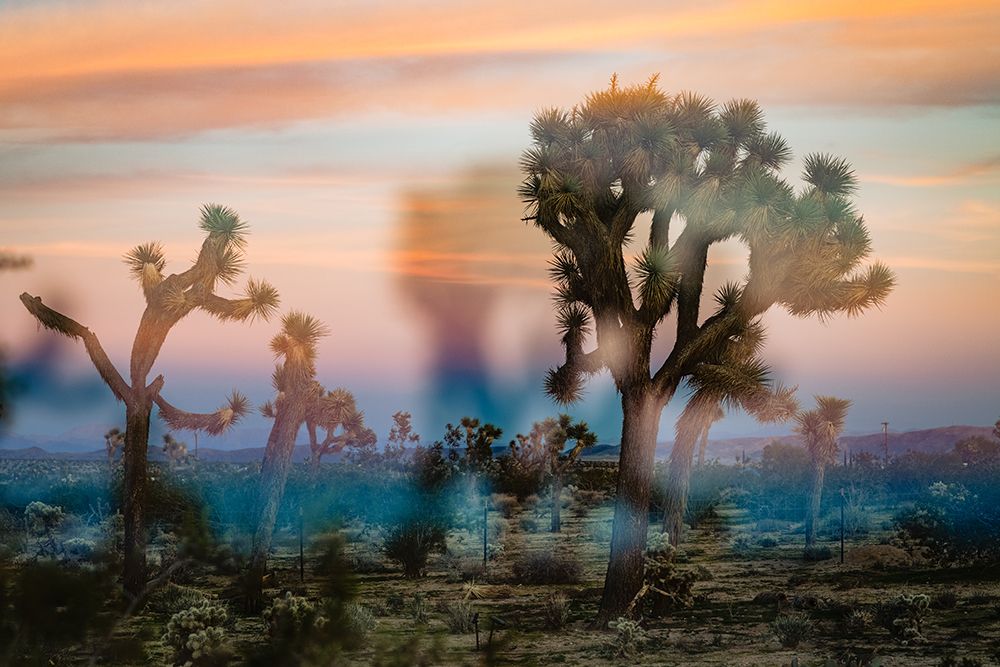 Cotton Candy Mist art print by Will Malone for $57.95 CAD