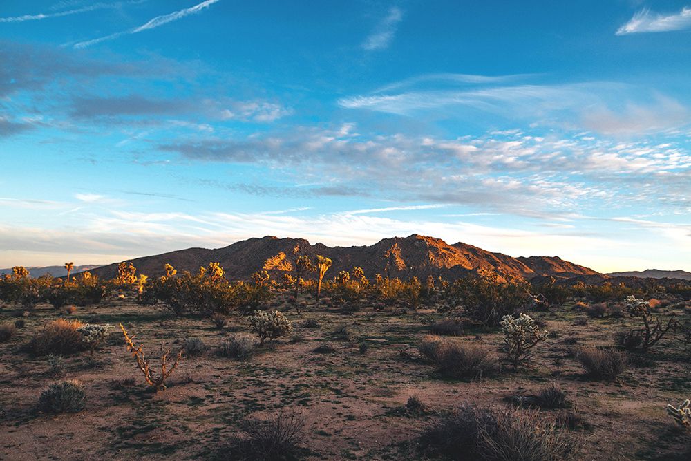 Desert Sky art print by Will Malone for $57.95 CAD