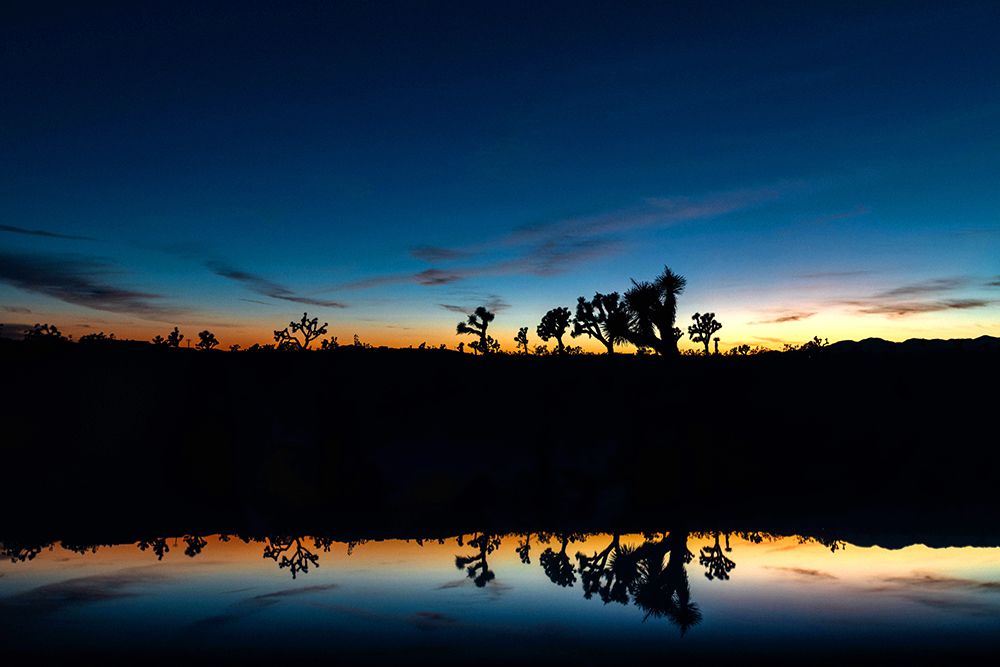 Desert Sky 2 art print by Will Malone for $57.95 CAD