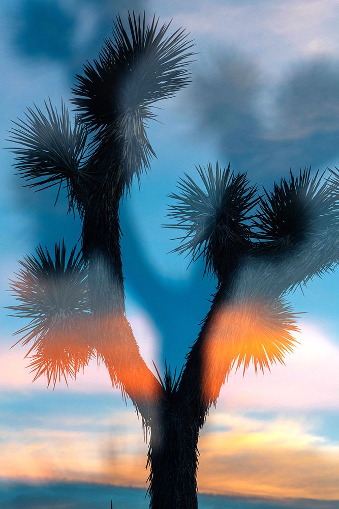 Desert Sky 3 art print by Will Malone for $57.95 CAD