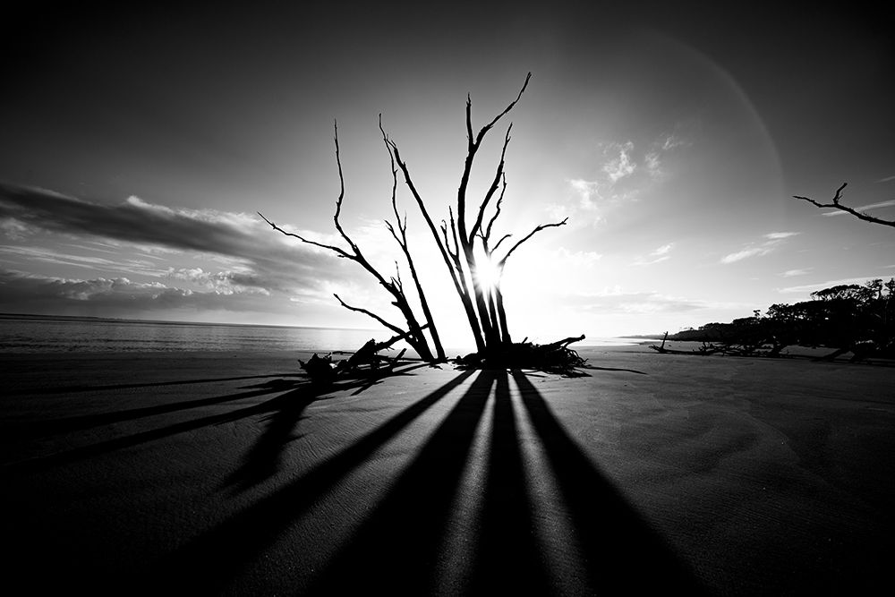 Shadow BW art print by Will Malone for $57.95 CAD