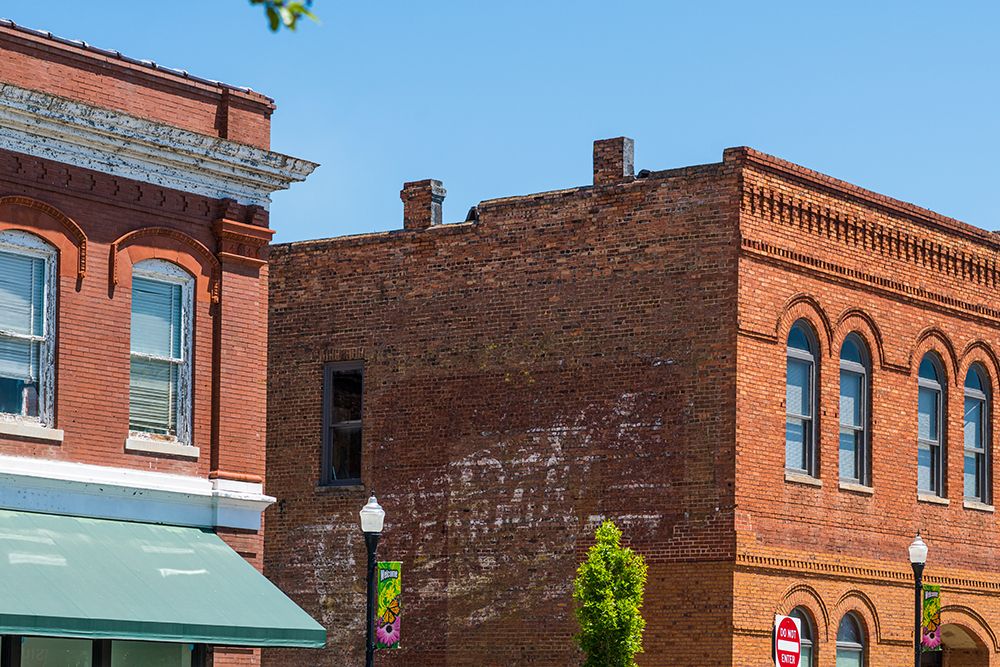 Spearmint art print by Will Malone for $57.95 CAD