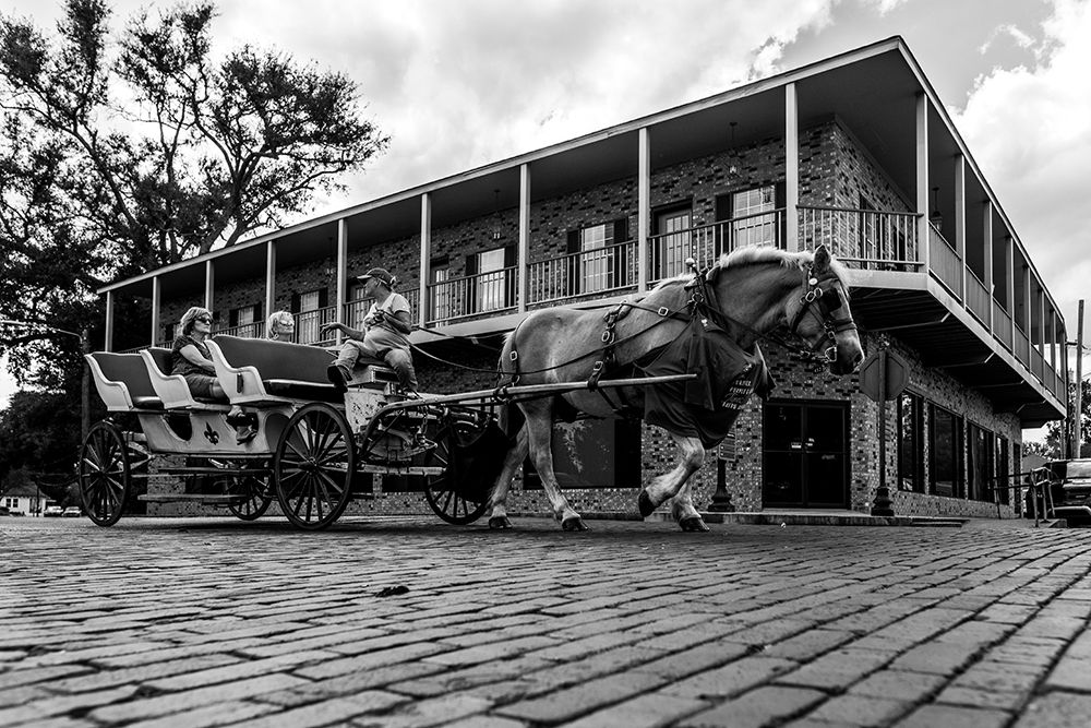 Horse Tour art print by Will Malone for $57.95 CAD