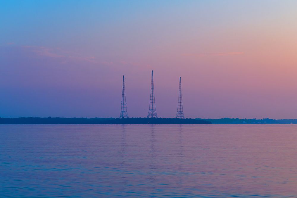 Antennae art print by Will Malone for $57.95 CAD
