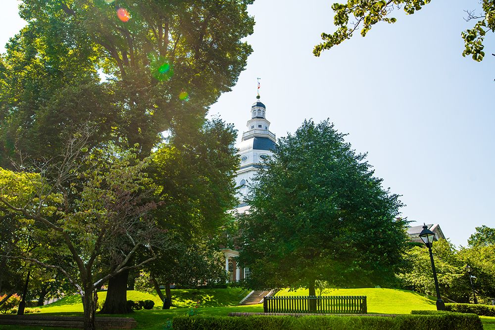 Maryland Capital 2 art print by Will Malone for $57.95 CAD
