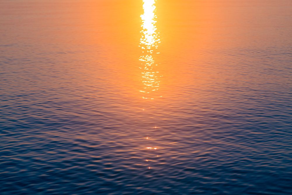Morning Sun art print by Will Malone for $57.95 CAD