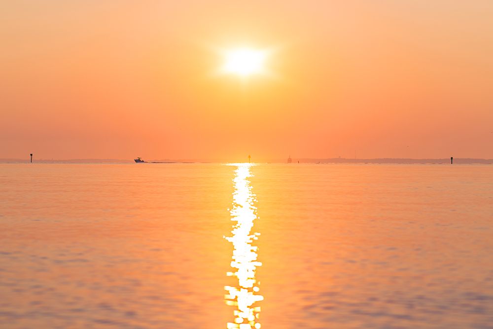 Morning Sun 2 art print by Will Malone for $57.95 CAD