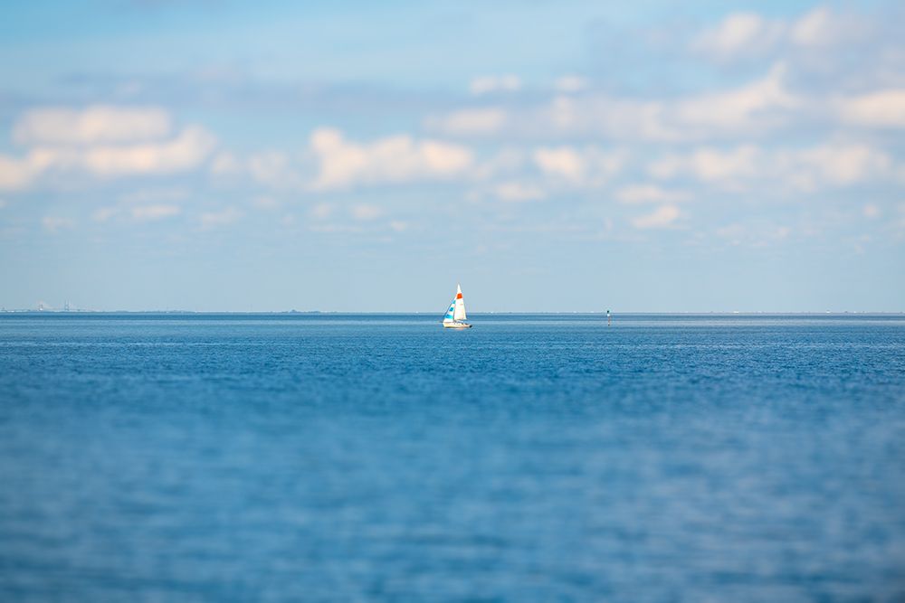 Sail Away art print by Will Malone for $57.95 CAD