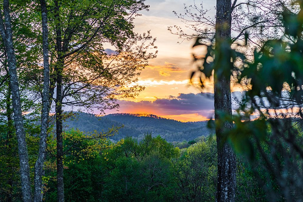 Cashiers Sunset art print by Will Malone for $57.95 CAD