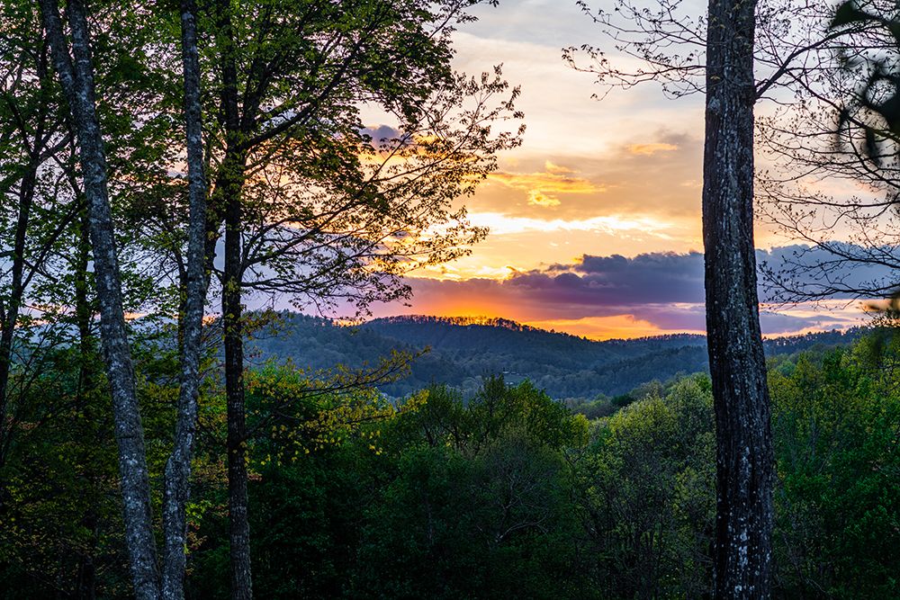 Cashiers Sunset 2 art print by Will Malone for $57.95 CAD