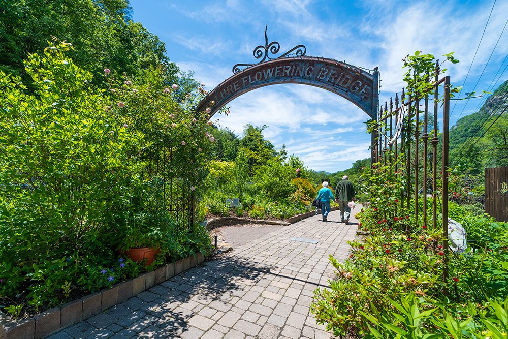 Flowering Bridge art print by Will Malone for $57.95 CAD