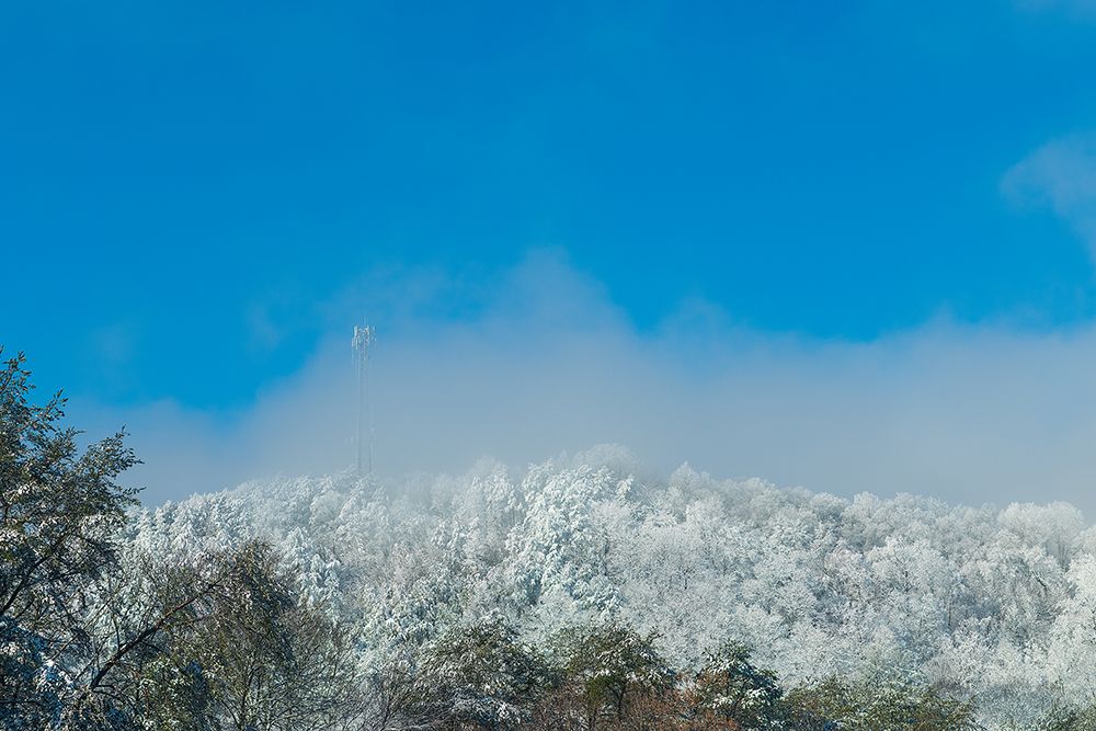Snow Antenna art print by Will Malone for $57.95 CAD