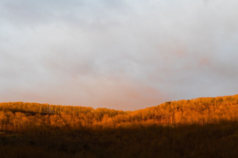 Black Creek Sun 2 art print by Will Malone for $57.95 CAD