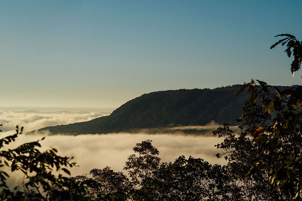 Golden Morning 1 art print by Will Malone for $57.95 CAD