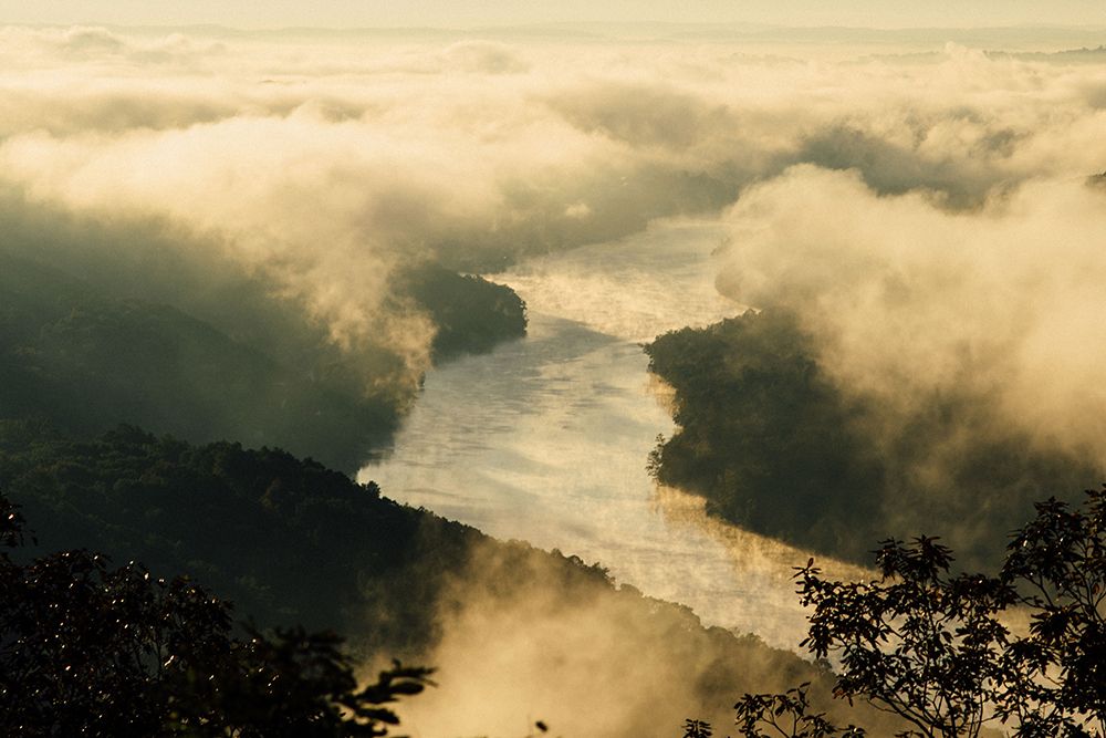 Golden Morning 2 art print by Will Malone for $57.95 CAD