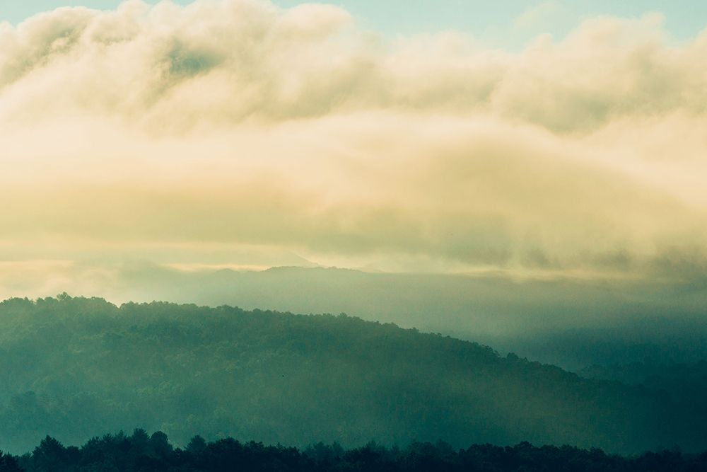 Golden Morning 3 art print by Will Malone for $57.95 CAD