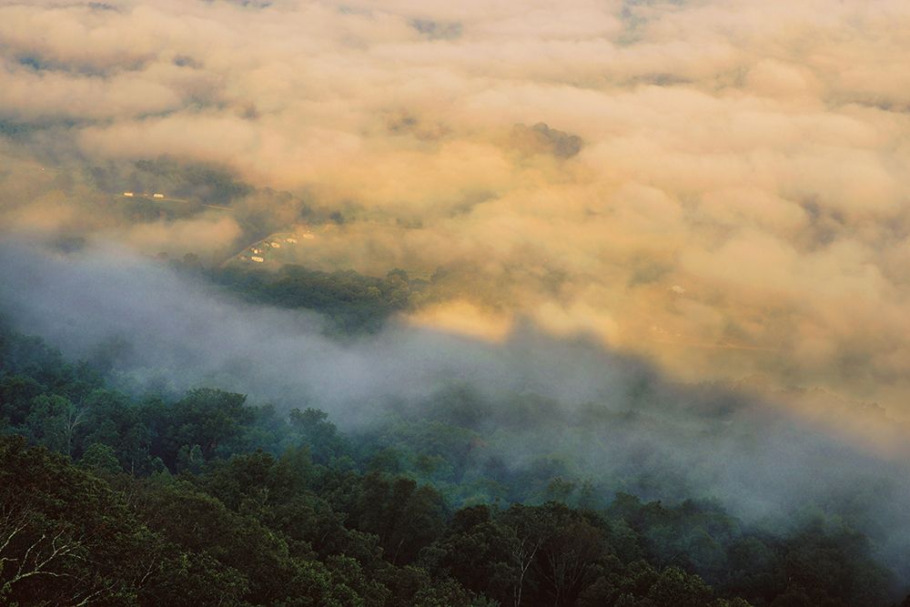 Golden Morning 4 art print by Will Malone for $57.95 CAD