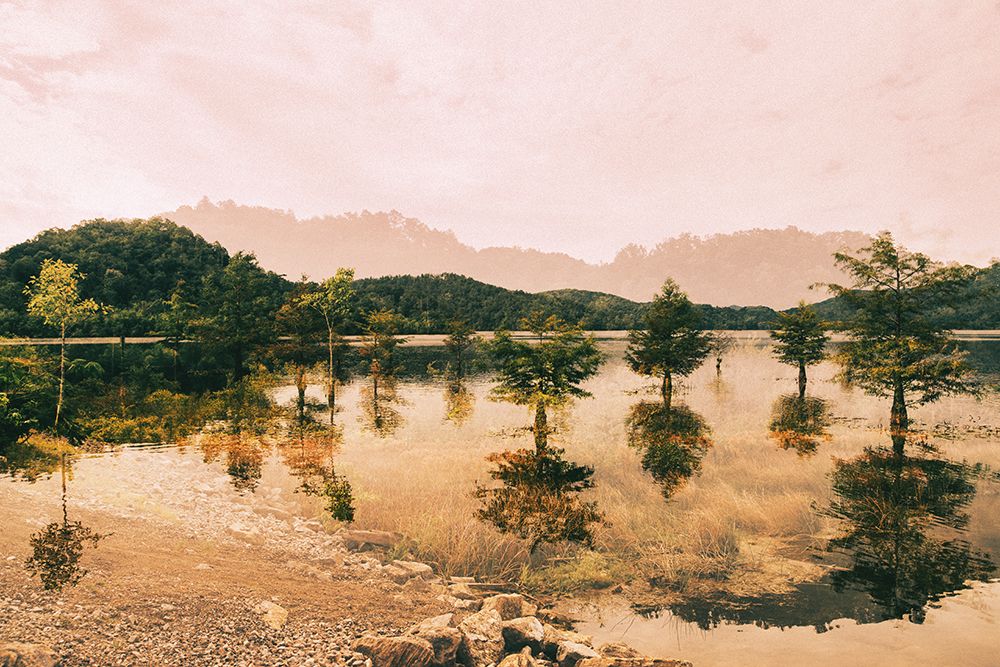 Ocoee Gold art print by Will Malone for $57.95 CAD