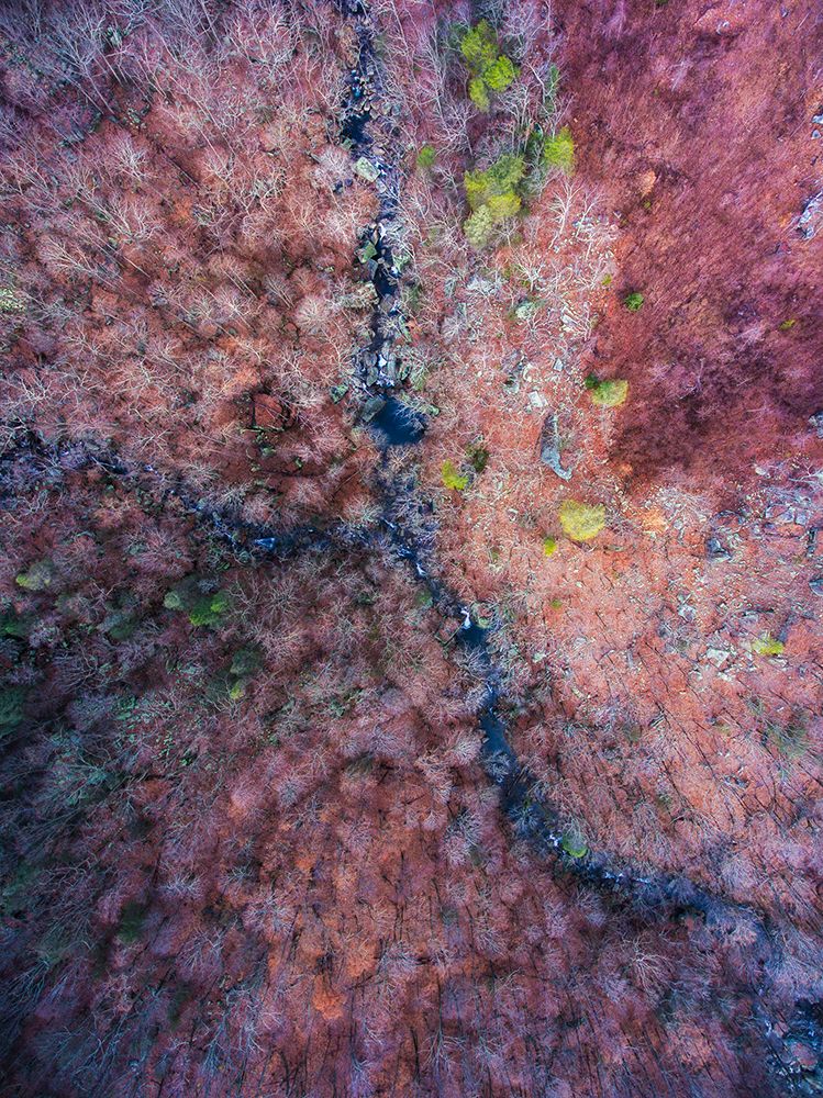 Signal Mountain Aerial art print by Will Malone for $57.95 CAD