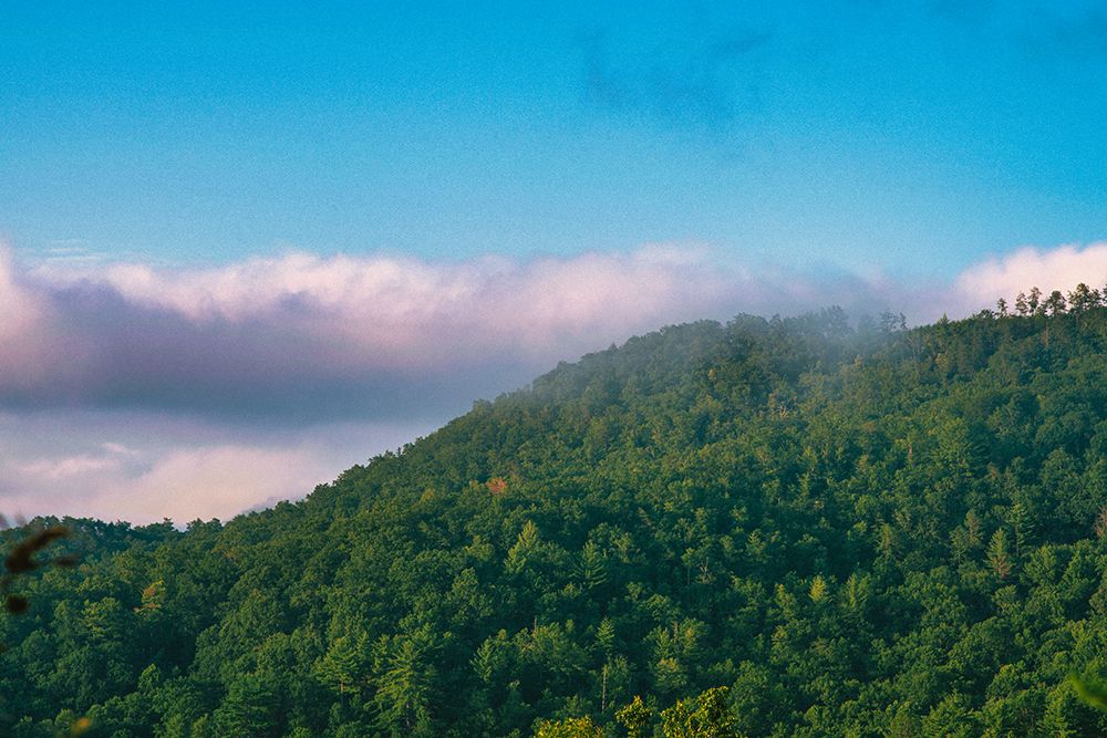 Smokey Morning 2 art print by Will Malone for $57.95 CAD
