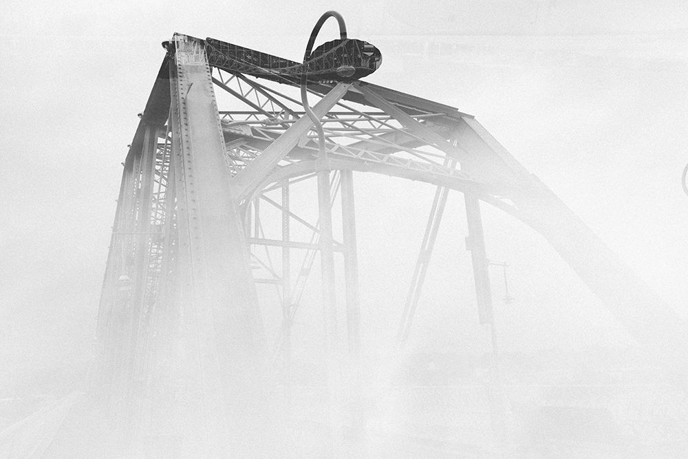 Walnut Fog art print by Will Malone for $57.95 CAD