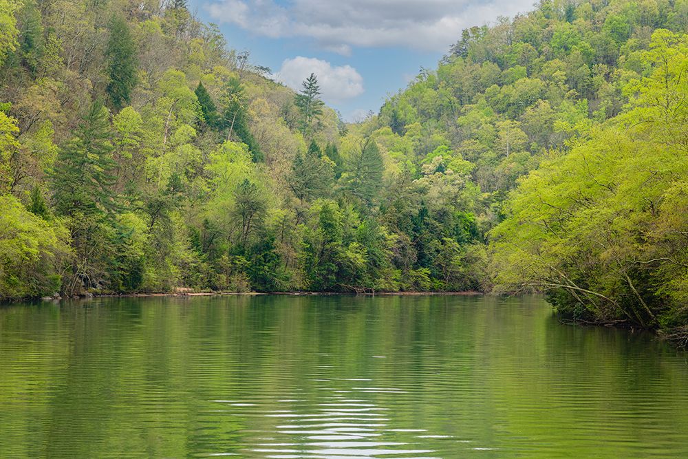 Ocoee Calm art print by Will Malone for $57.95 CAD