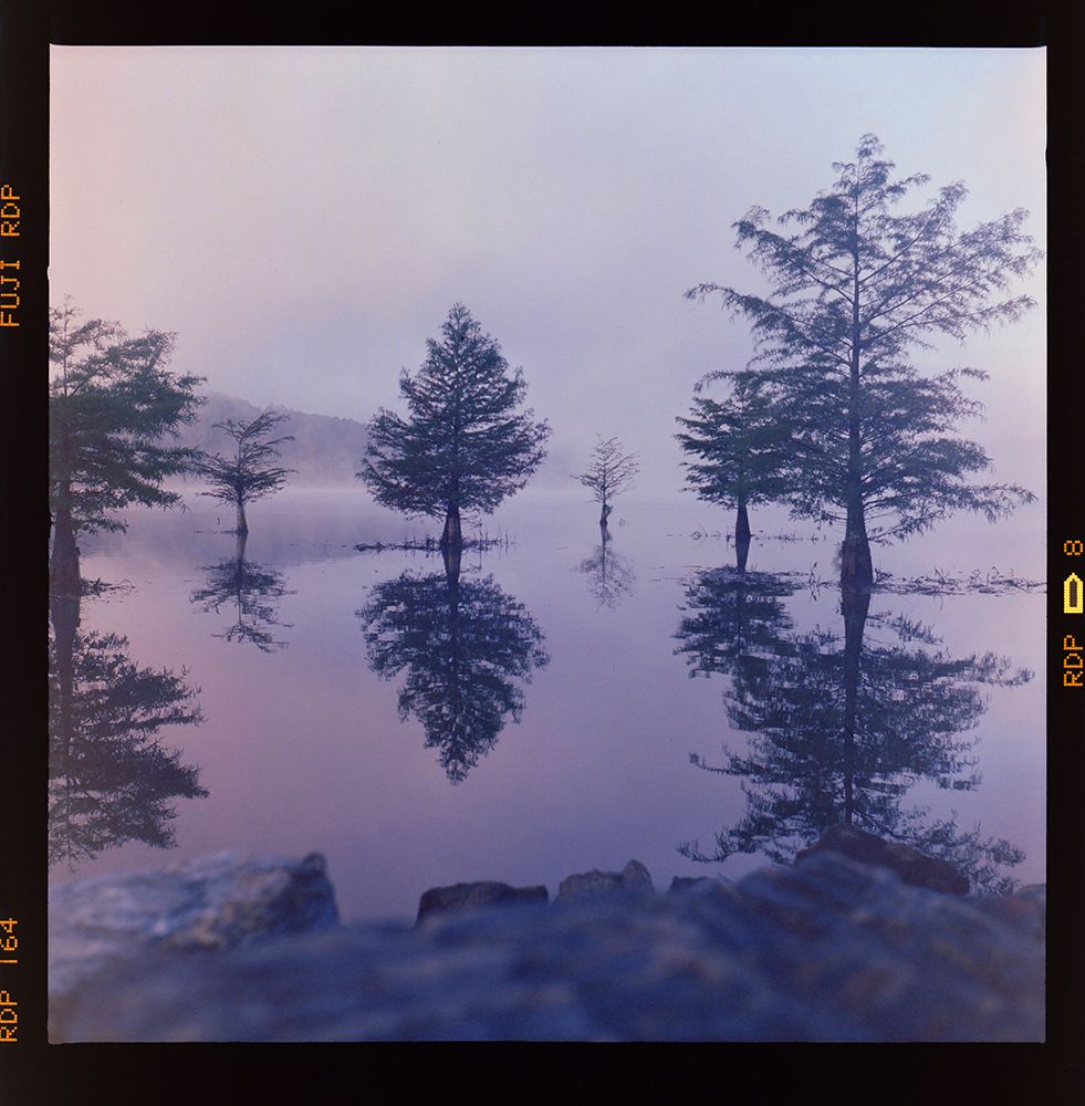 Ocoee Fog art print by Will Malone for $57.95 CAD