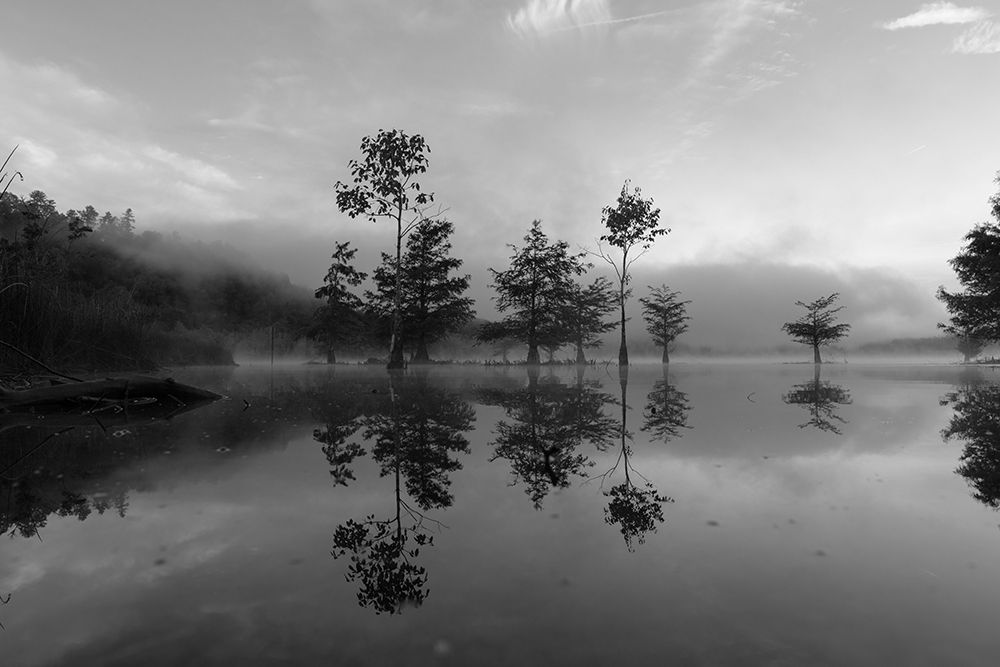 Ocoee Fog 4 art print by Will Malone for $57.95 CAD