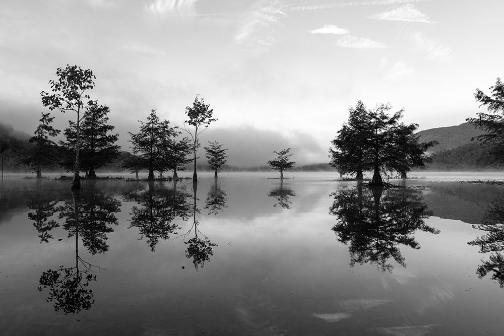 Ocoee Fog 5 art print by Will Malone for $57.95 CAD
