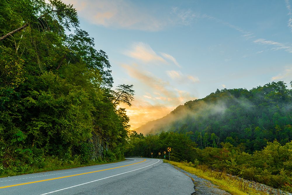 Ocoee Road 2 art print by Will Malone for $57.95 CAD