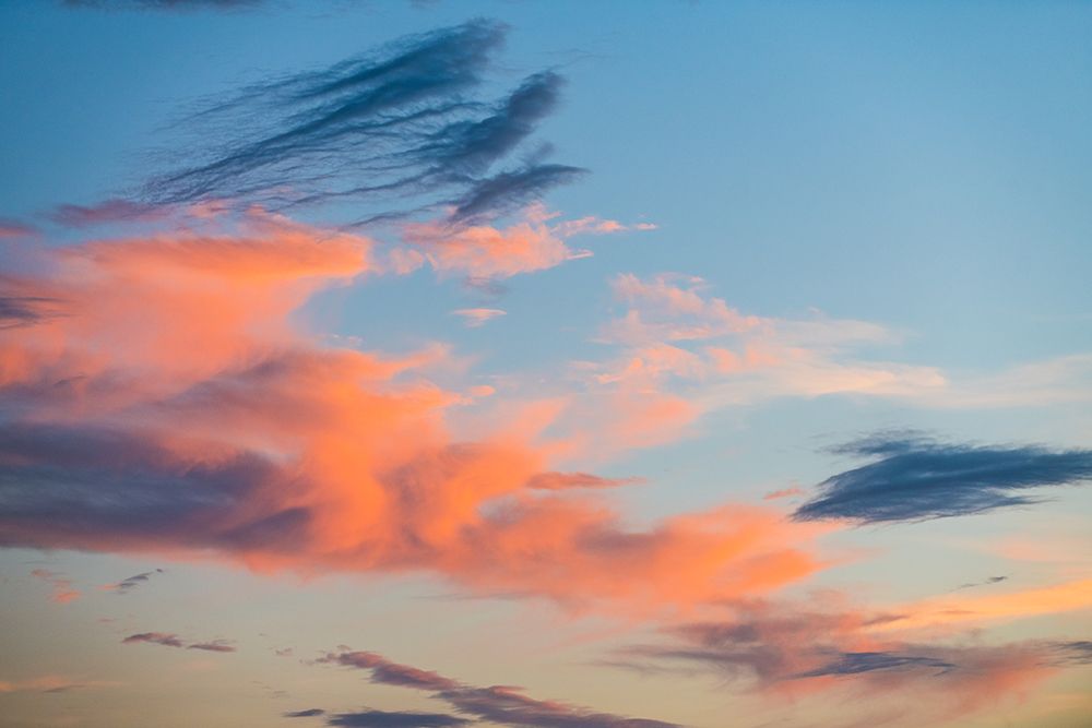 Texas Sunset art print by Will Malone for $57.95 CAD
