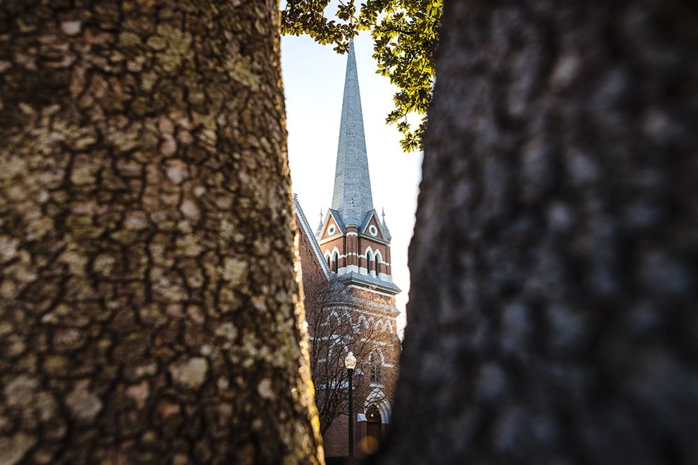 Through the Trees art print by Will Malone for $57.95 CAD