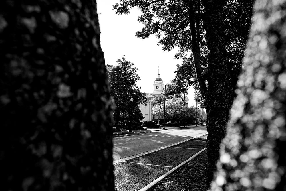 Through the Trees 2 art print by Will Malone for $57.95 CAD