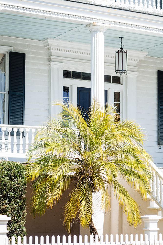 Front Porch Palm art print by Will Malone for $57.95 CAD