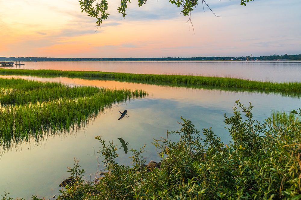 Morning Marsh art print by Will Malone for $57.95 CAD