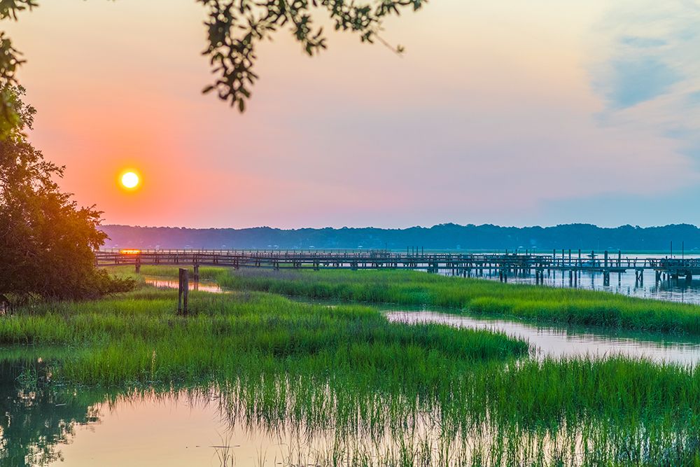 Morning Marsh 2 art print by Will Malone for $57.95 CAD