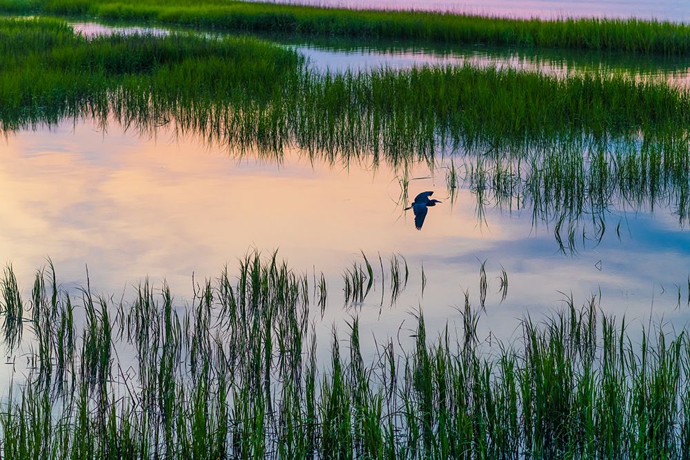 Morning Marsh 3 art print by Will Malone for $57.95 CAD