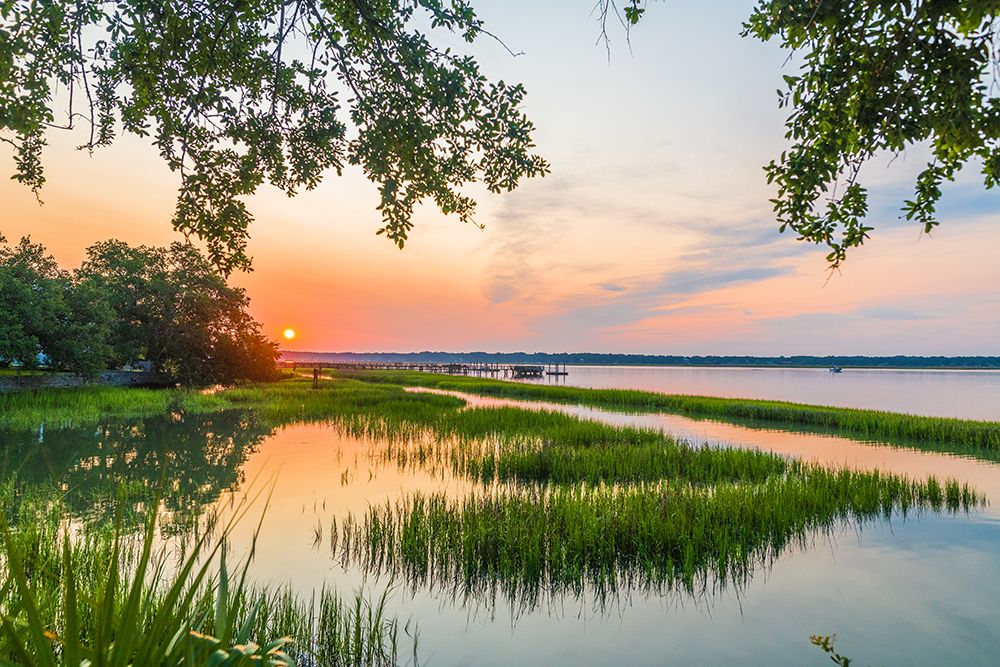 Morning Marsh 4 art print by Will Malone for $57.95 CAD
