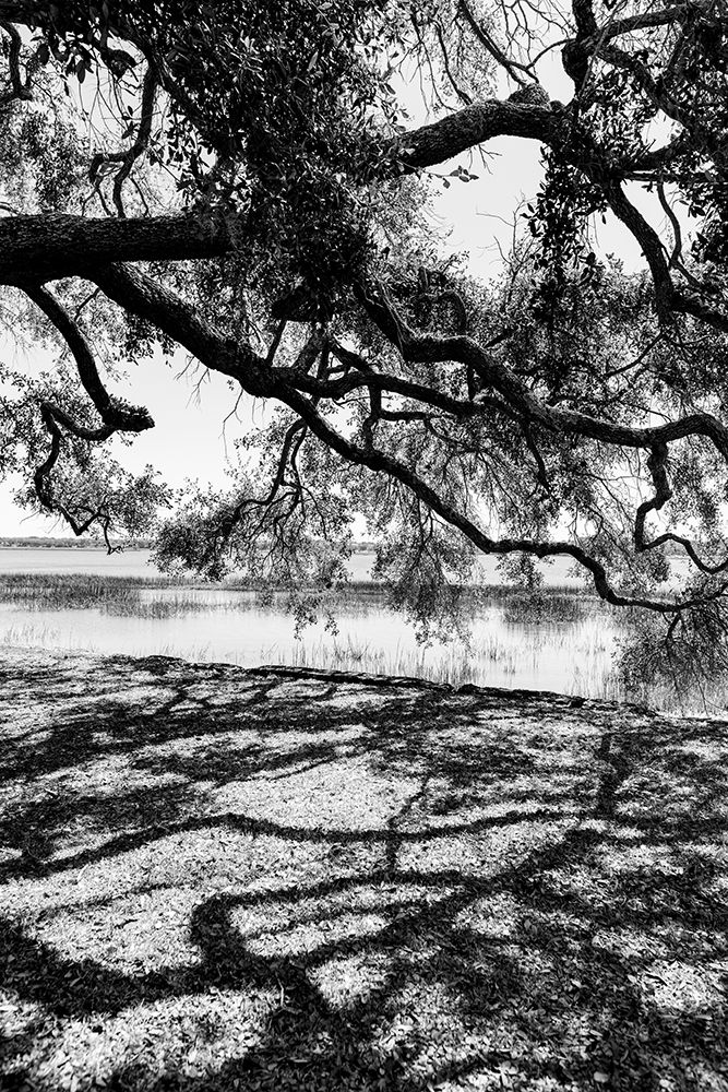 Shady Spot art print by Will Malone for $57.95 CAD