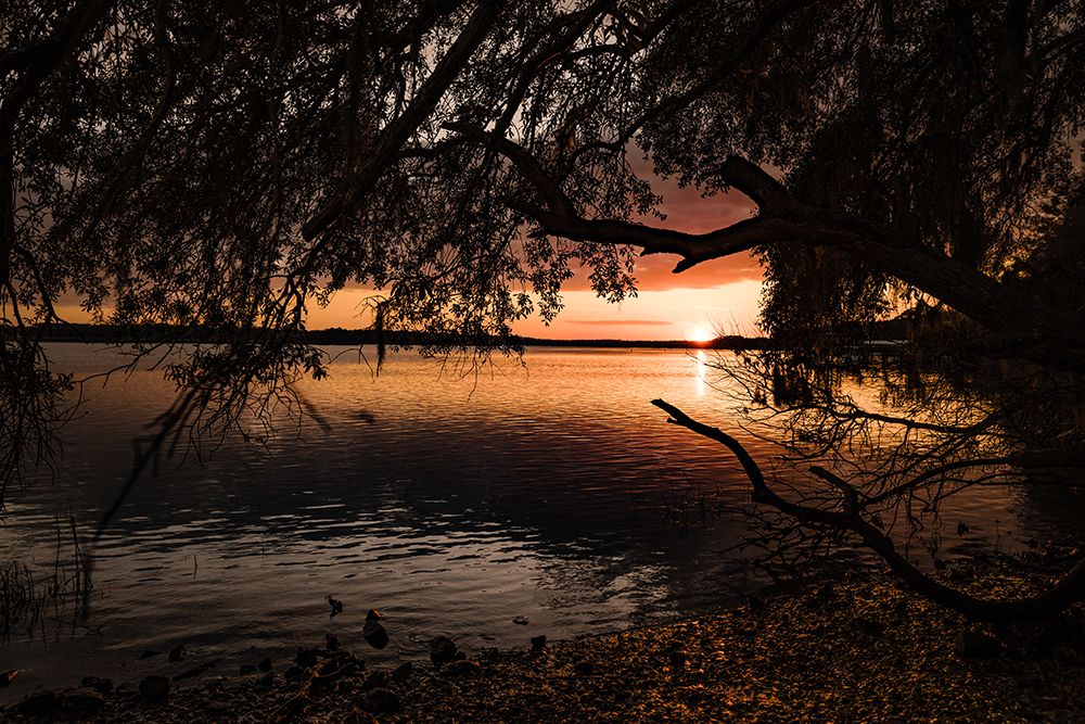 Classic Sunset 3 art print by Will Malone for $57.95 CAD