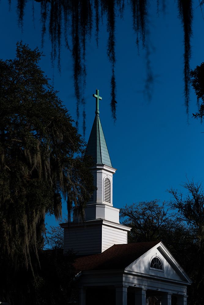 Spanish Moss Steeple art print by Will Malone for $57.95 CAD