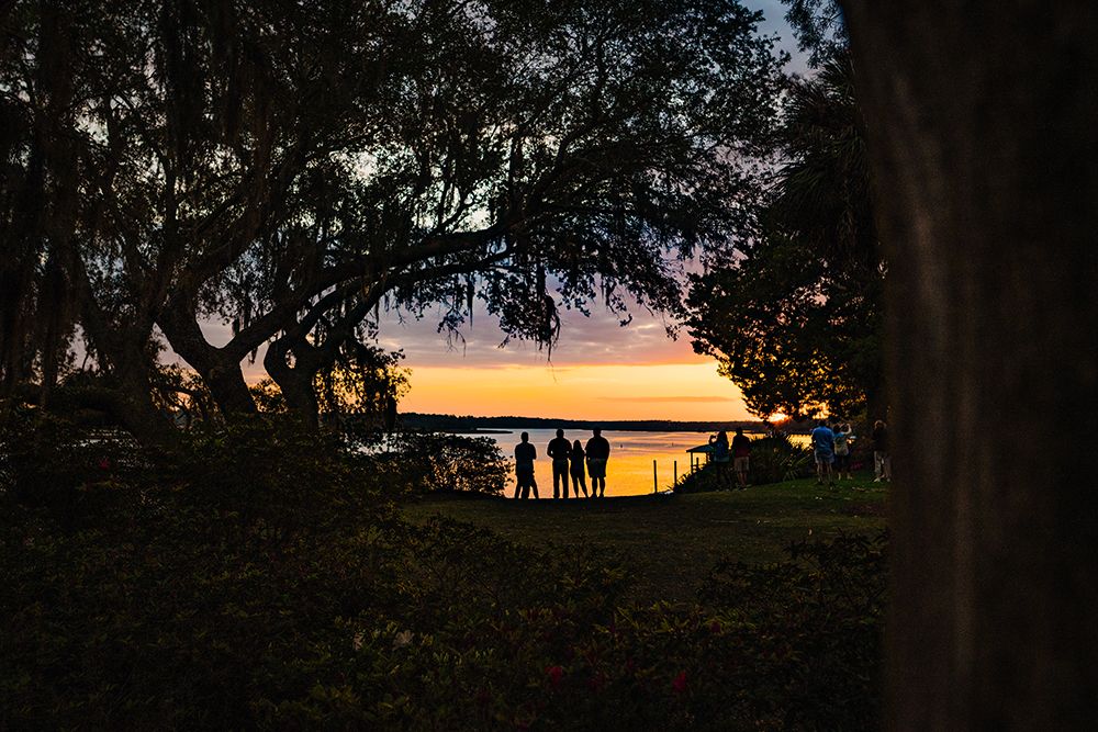 Sunset Spectators art print by Will Malone for $57.95 CAD