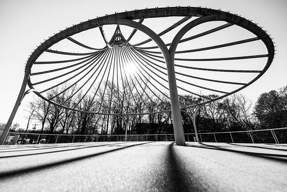 Cancer Survivor Park 2 BW art print by Will Malone for $57.95 CAD