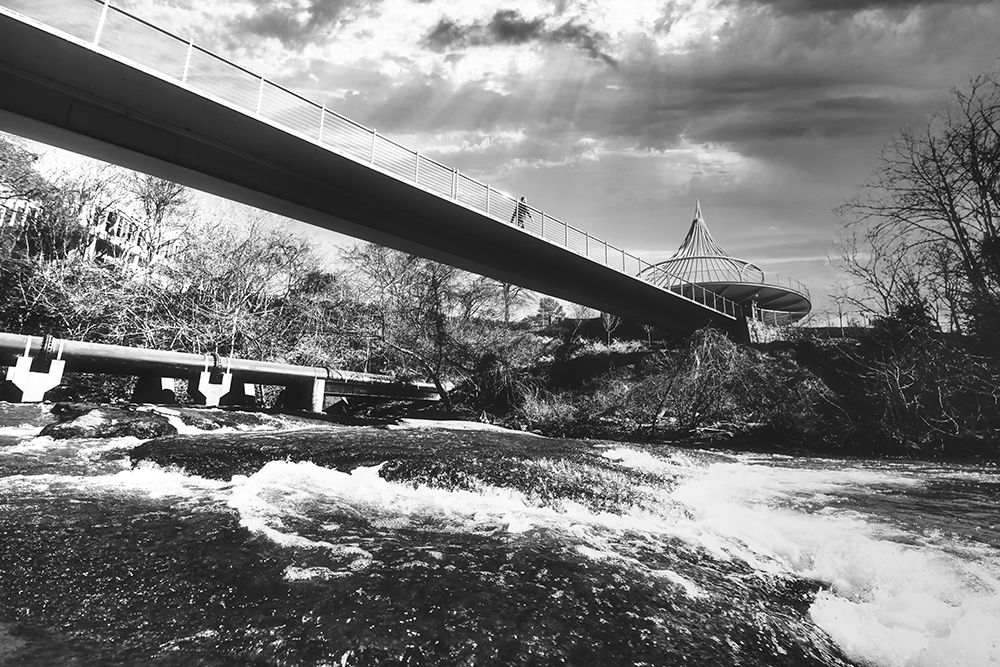 Cancer Survivor Park 3 BW art print by Will Malone for $57.95 CAD
