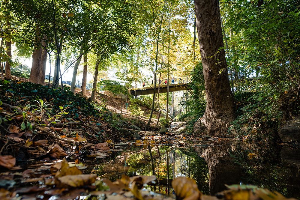 Fall Bridge art print by Will Malone for $57.95 CAD